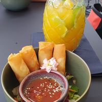  at Project Vegan in Koblenz