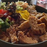   at Project Vegan in Koblenz