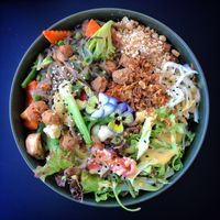 Stunning food, well worth a visit!   at Project Vegan in Koblenz