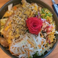  at Project Vegan in Koblenz