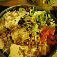  at Project Vegan in Koblenz