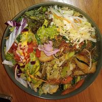  at Project Vegan in Koblenz