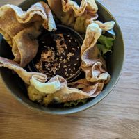 Gyoza at Project Vegan in Koblenz