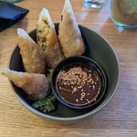 Frittierte Rollen at Project Vegan in Koblenz
