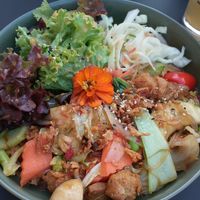  at Project Vegan in Koblenz