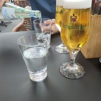  at Project Vegan in Koblenz