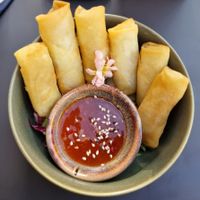  at Project Vegan in Koblenz