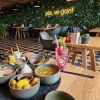  at Project Vegan in Koblenz