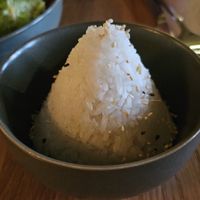  at Project Vegan in Koblenz