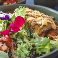   at Project Vegan in Koblenz