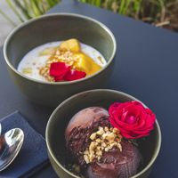 Mango sticky rice & choco choco  at Project Vegan in Koblenz