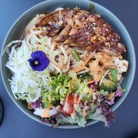  at Project Vegan in Koblenz