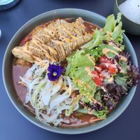  at Project Vegan in Koblenz