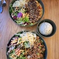  at Project Vegan in Koblenz