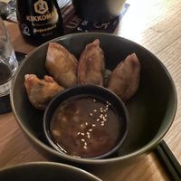 Gyoza 🥟   at Project Vegan in Koblenz