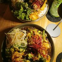  at Project Vegan in Koblenz