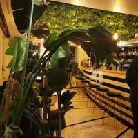  at Project Vegan in Koblenz