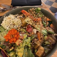   at Project Vegan in Koblenz