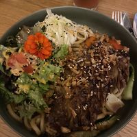   at Project Vegan in Koblenz