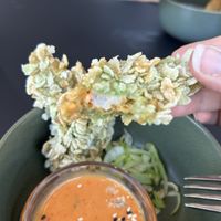   at Project Vegan in Koblenz