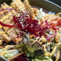   at Project Vegan in Koblenz