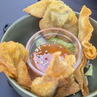  at Project Vegan in Koblenz