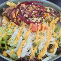  at Project Vegan in Koblenz