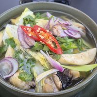  at Project Vegan in Koblenz