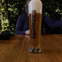   at Project Vegan in Koblenz