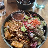   at Project Vegan in Koblenz