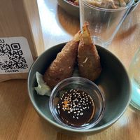   at Project Vegan in Koblenz