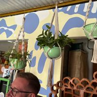  at Vegan Caribe in Bacalar