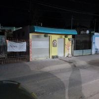  at Vegan Caribe in Bacalar