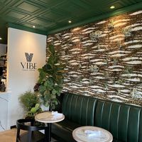 The whole wall is air plants! Created by the owner. I loved it!  at Vibe Vegan Bistro in Destin