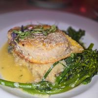  at Vibe Vegan Bistro in Destin