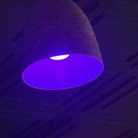 Beautiful Decor 2  at Vibe Vegan Bistro in Destin