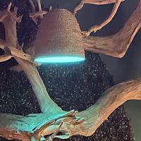 Beautiful Decor 4  at Vibe Vegan Bistro in Destin