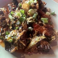 Brusselss  at XO Bar in Portland