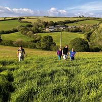   at Haye Cornwall – Vegan-friendly holiday cottage with rescue animals in 25 acres in Liskeard
