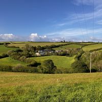   at Haye Cornwall – Vegan-friendly holiday cottage with rescue animals in 25 acres in Liskeard