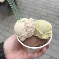   at Capri  in Rotterdam