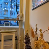   at Vegan Vibes in Berlin