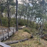 Einer der Wege zum Strand   at Vita Rama Holistic Hotel in Obzor