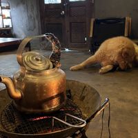 It shows the vibe  at THE MIST in Sapa