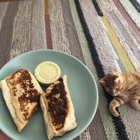 Breakfast burrito - 🐱 approved!  at The Moody Vegan in Los Angeles