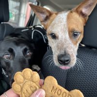   at The Moody Vegan in Los Angeles