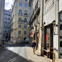 Can be difficult to spot!  at Antiga Wine Bar in Lisbon