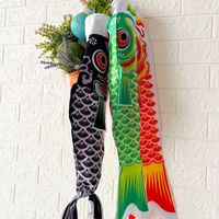 .  at Ohayo Poke in Mallorca