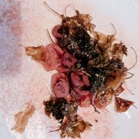 Tomato, fried green cale, sliced olives, Tomato dust at Restaurant Nögen  in Vejle