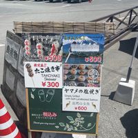  at Dango Mt Fuji - だんご富士山 in Fujikawaguchiko